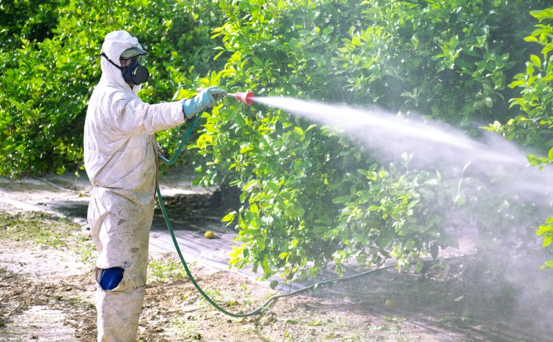 Fumigation Service in Madison, WI