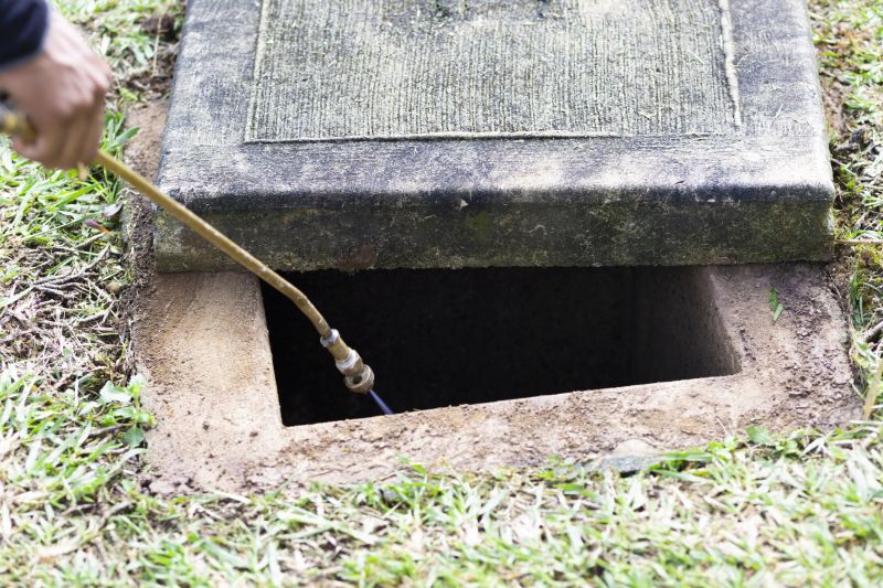 Rat Fumigation Service in Myrtle Beach, SC