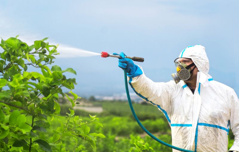 Roach Fumigation in Fort Myers, FL