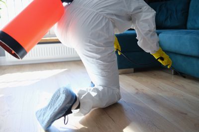 Roach Fumigation in Asheville, NC