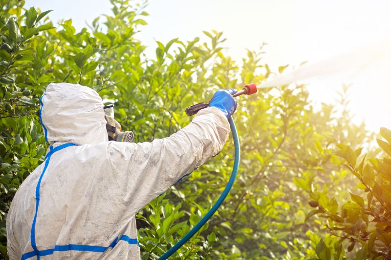 Commercial Fumigation in Bellingham, WA
