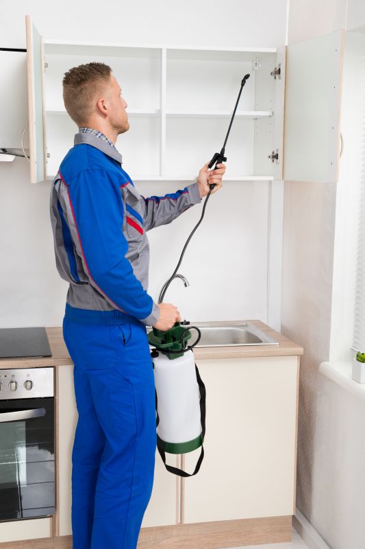Insect Control Service in Frisco, TX