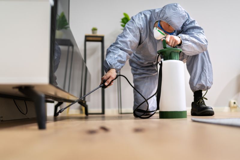 Rat Fumigation Service in Fort Collins, CO