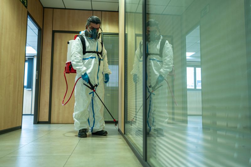 Rat Fumigation Service in Naperville, IL