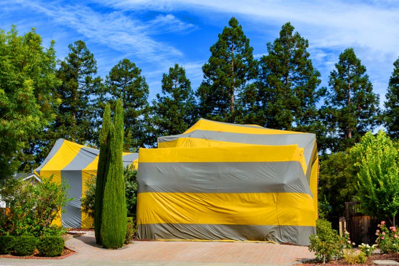Termite Tenting in Gwinnett County, GA